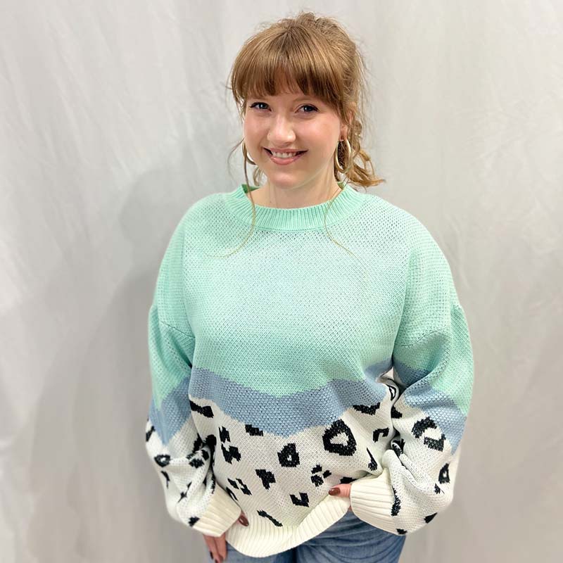 Chevron Animal Print Colorblock Pullover Sweater - Image 5