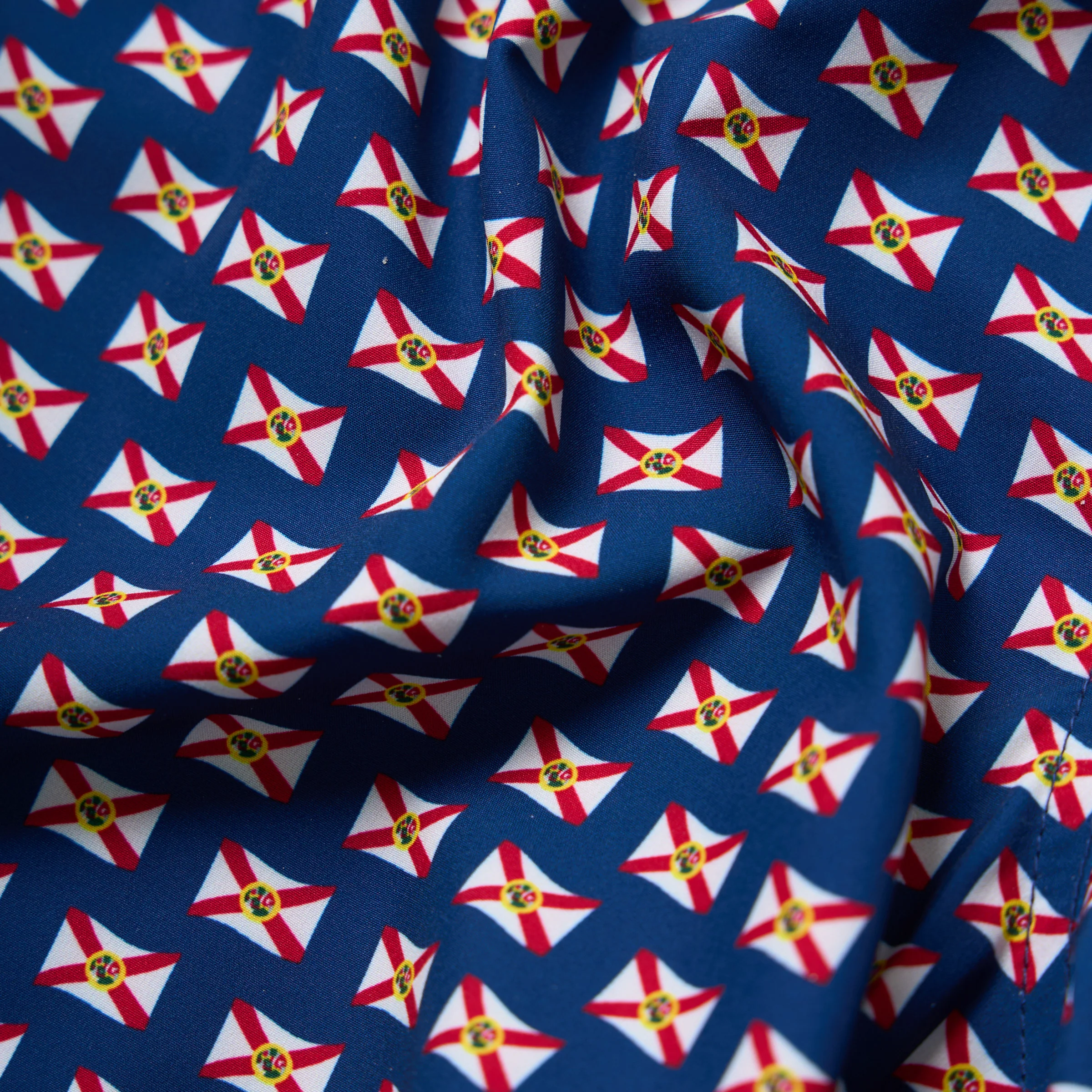 The Sunshine State Forida Flag 5.5 Inch Lined Swim Shorts - Image 2
