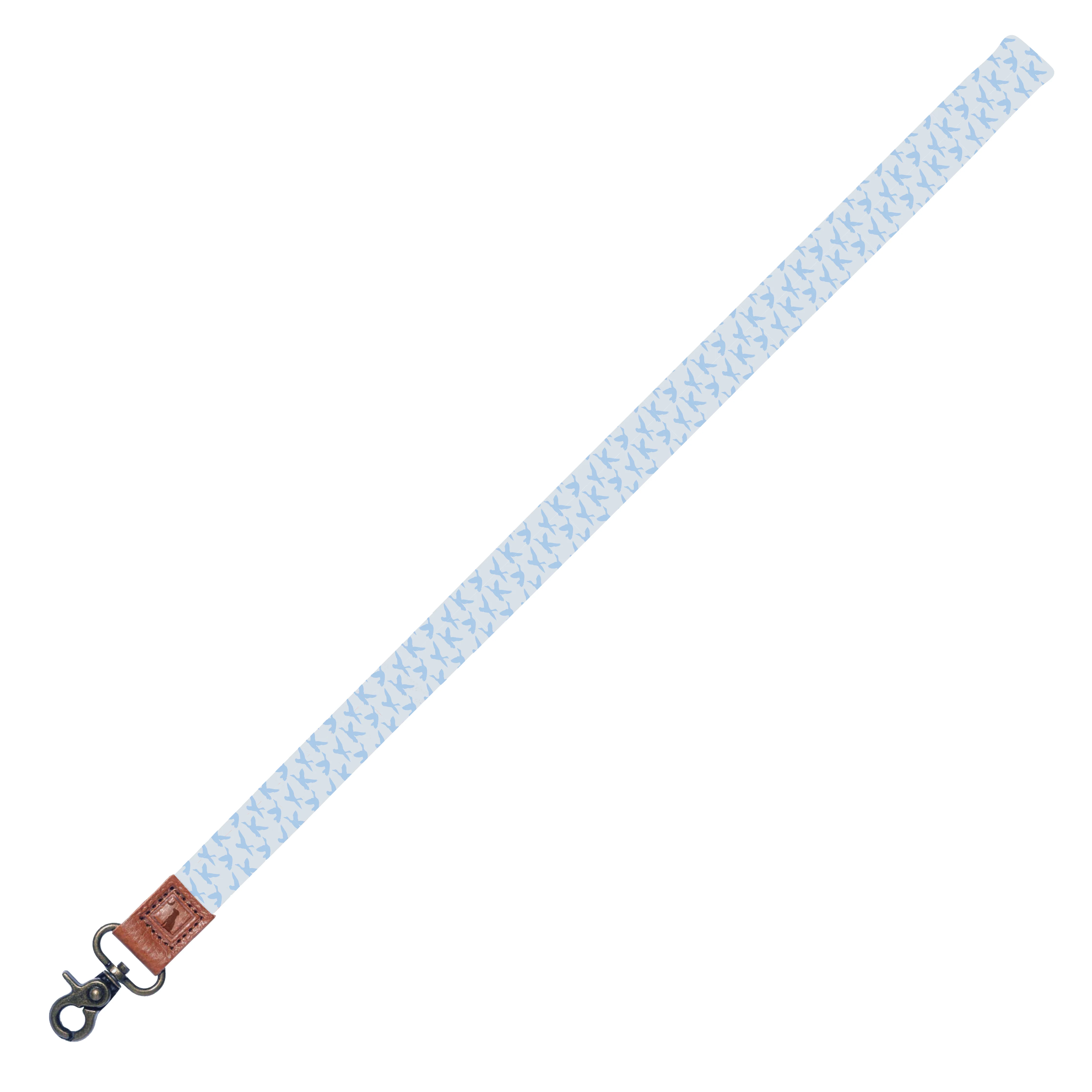 In Flight Lanyard