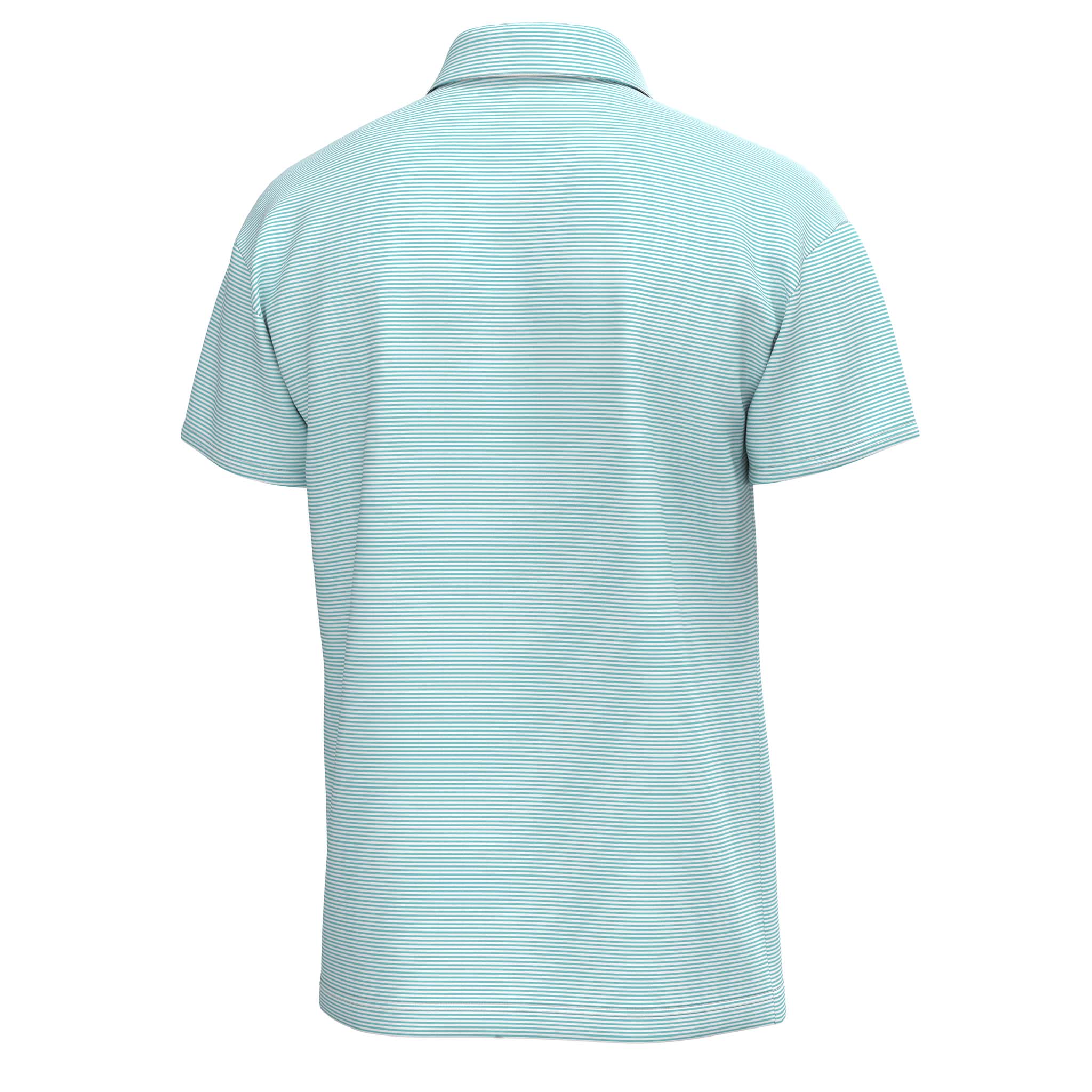 Palms Striped Polo in Aqua - Image 2