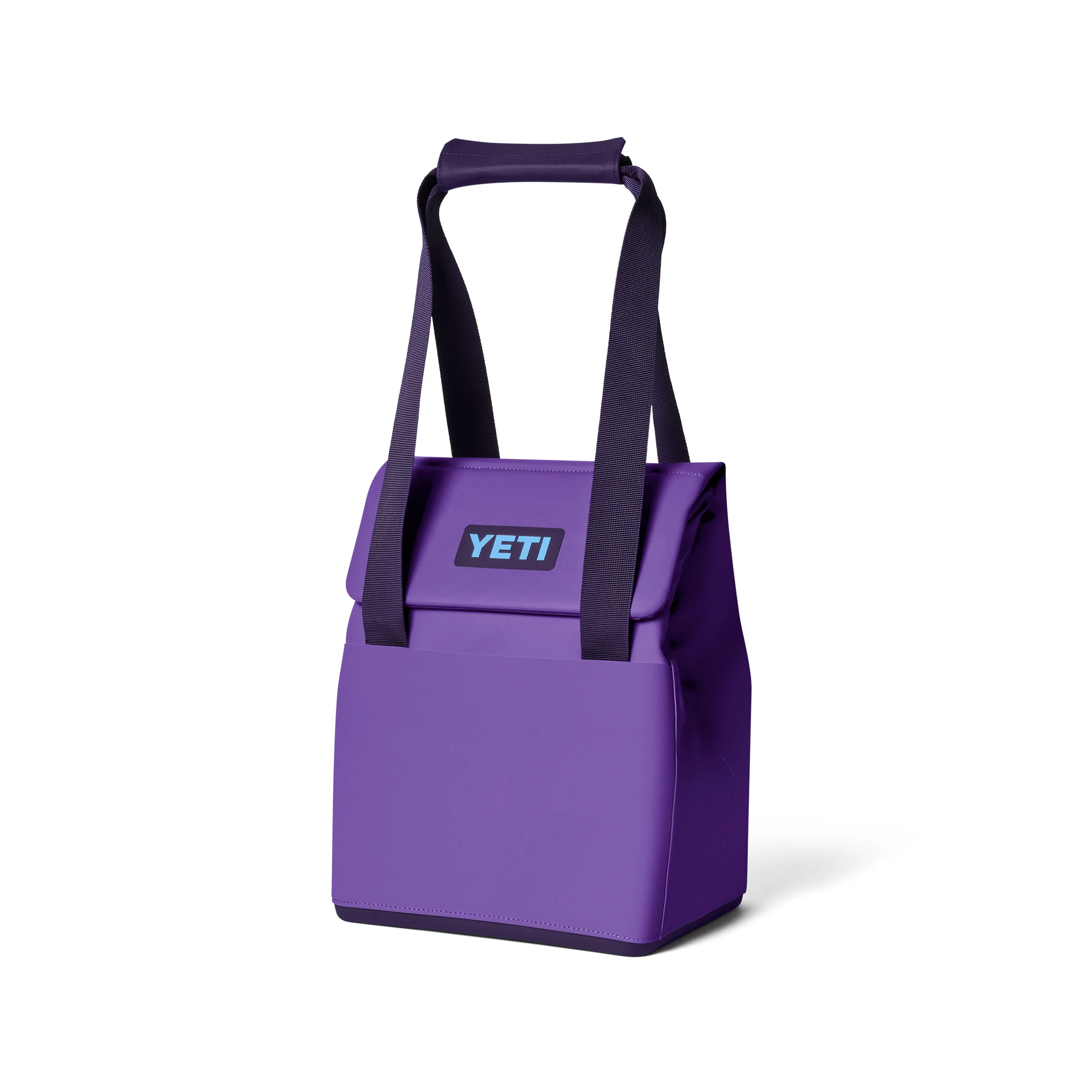 Daytrip 14L Tote Bag in Pace Purple